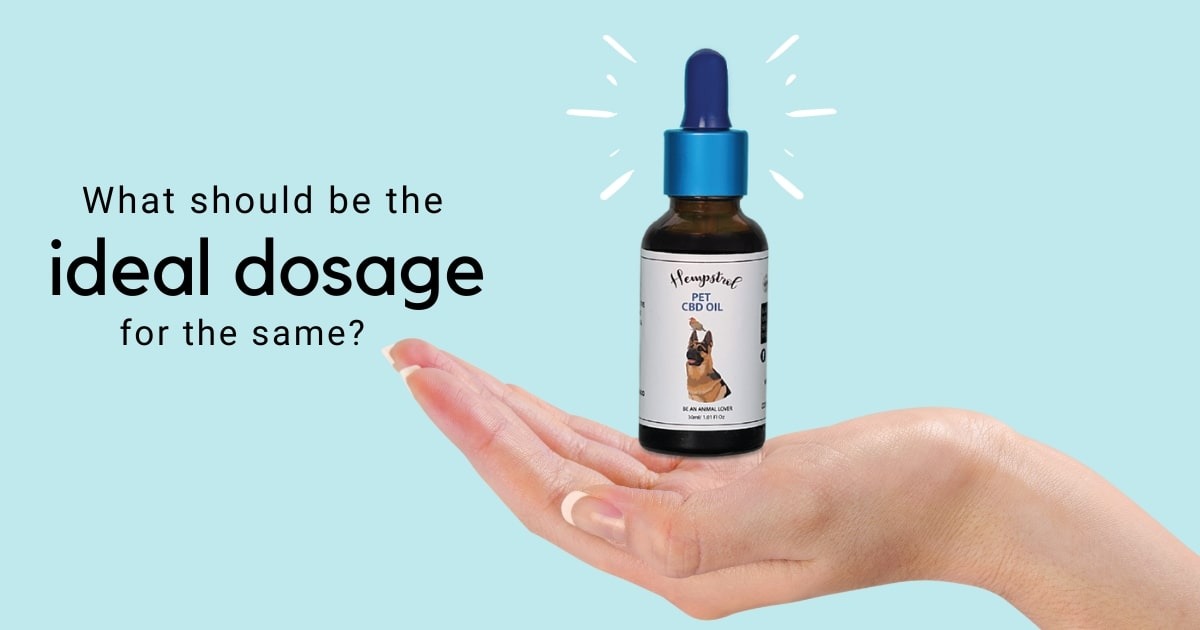 cannabinoid oil for dog